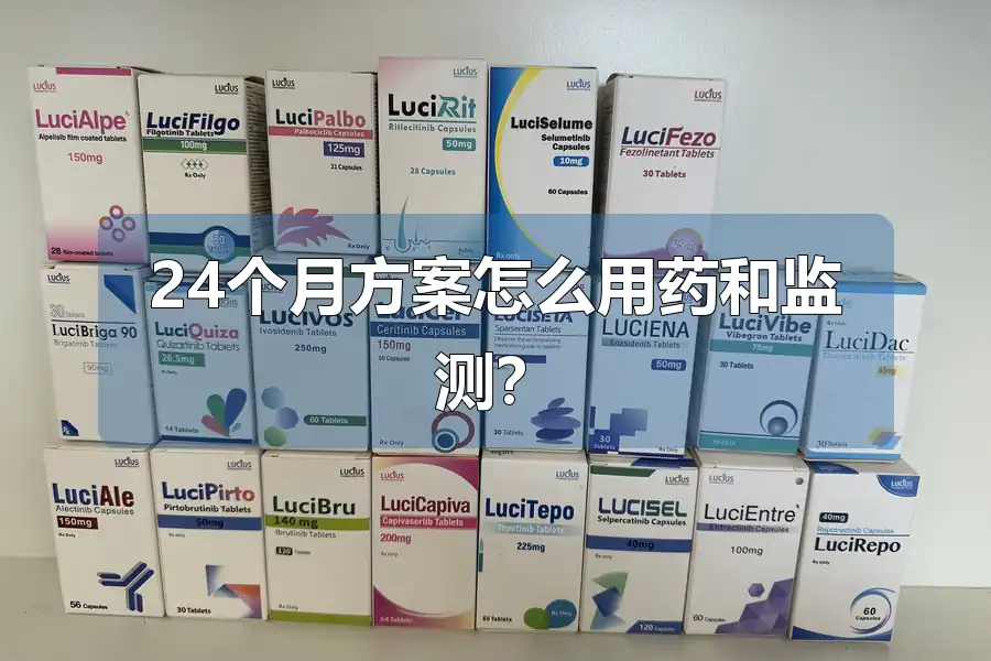 24个月方案怎么用药和监测?
